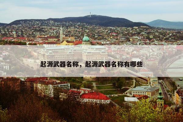 起源武器名称，起源武器名称有哪些