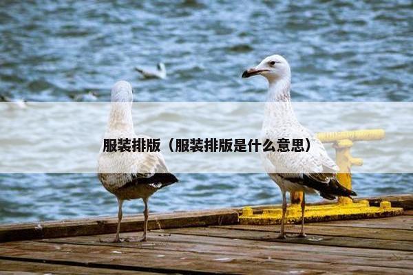 服装排版（服装排版是什么意思）