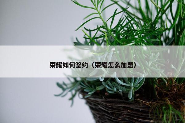 荣耀如何签约（荣耀怎么加盟）