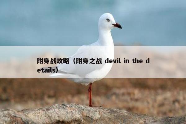附身战攻略（附身之战 devil in the details）