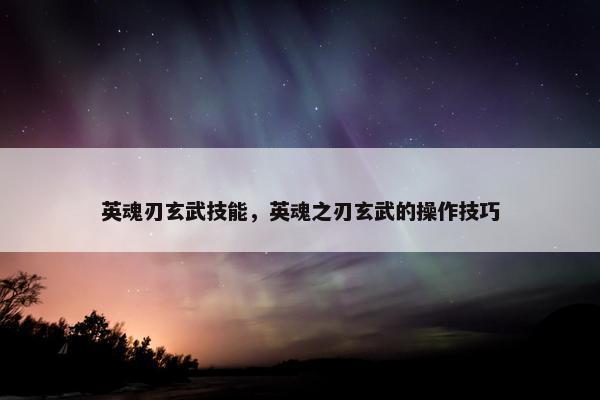 英魂刃玄武技能，英魂之刃玄武的操作技巧