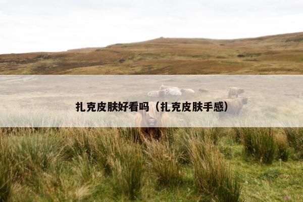 扎克皮肤好看吗（扎克皮肤手感）