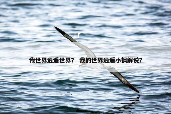 我世界逍遥世界？ 我的世界逍遥小枫解说？