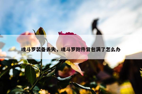 魂斗罗装备丢失，魂斗罗附件背包满了怎么办