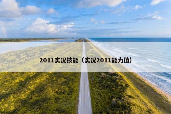 2011实况技能（实况2011能力值）
