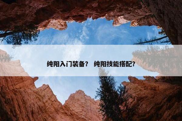 纯阳入门装备？ 纯阳技能搭配？