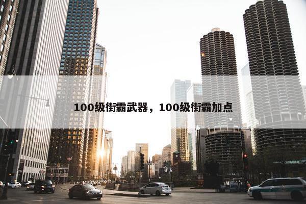 100级街霸武器，100级街霸加点