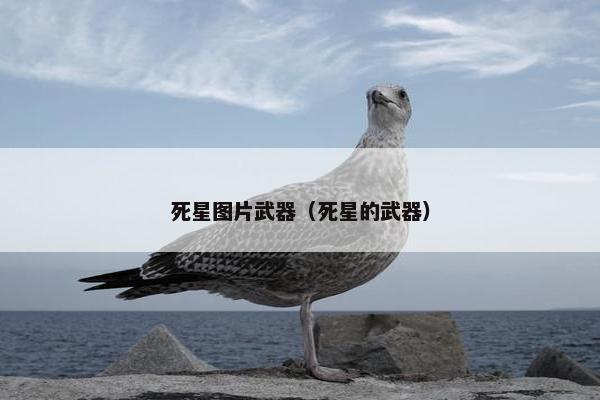 死星图片武器（死星的武器）