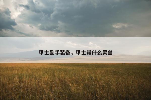 甲士副手装备，甲士带什么灵兽