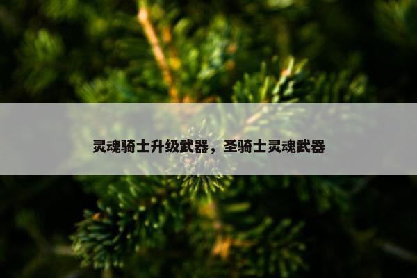 灵魂骑士升级武器，圣骑士灵魂武器