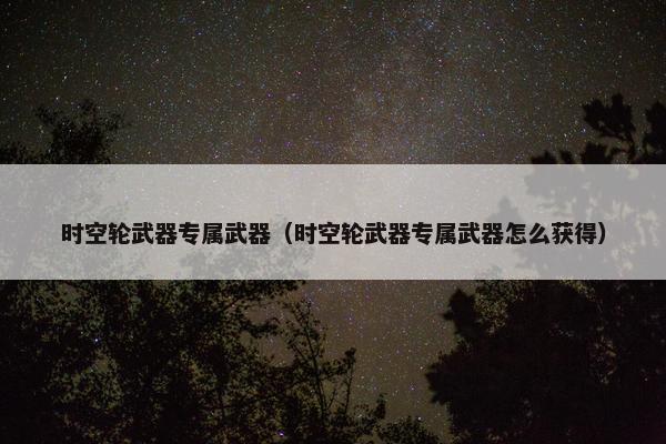 时空轮武器专属武器（时空轮武器专属武器怎么获得）