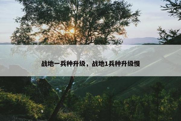 战地一兵种升级，战地1兵种升级慢