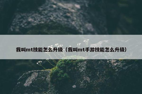 我叫mt技能怎么升级（我叫mt手游技能怎么升级）