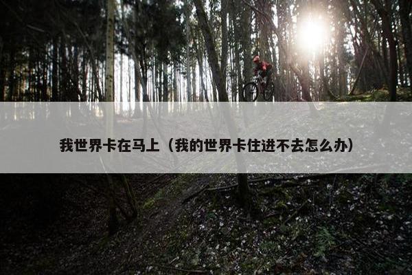 我世界卡在马上（我的世界卡住进不去怎么办）