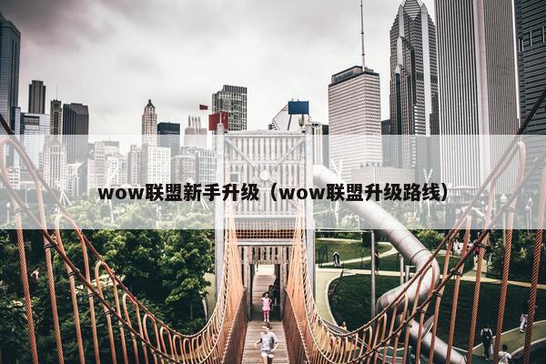 wow联盟新手升级（wow联盟升级路线）