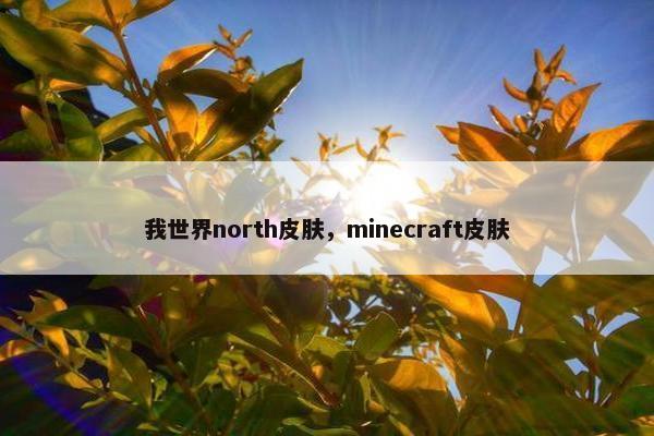 我世界north皮肤，minecraft皮肤