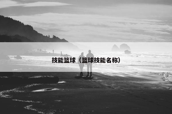 技能篮球（篮球技能名称）