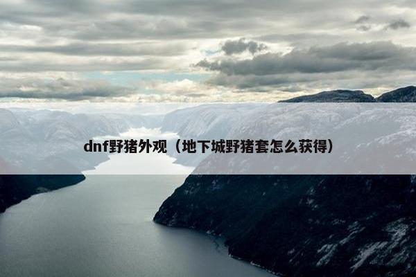 dnf野猪外观（地下城野猪套怎么获得）