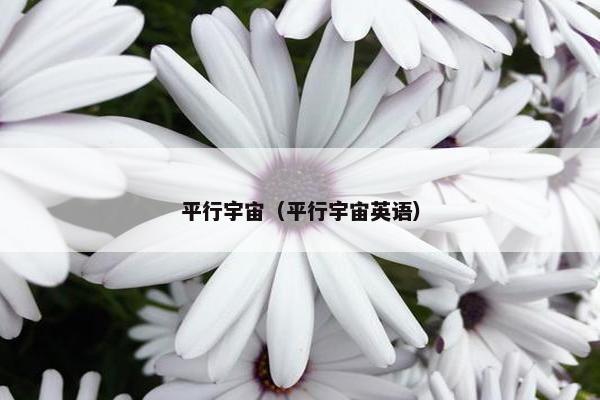 平行宇宙（平行宇宙英语）