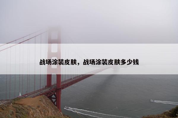 战场涂装皮肤，战场涂装皮肤多少钱