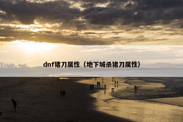 dnf猪刀属性（地下城杀猪刀属性）