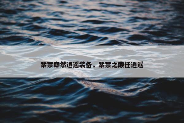紫禁巅然逍遥装备，紫禁之巅任逍遥