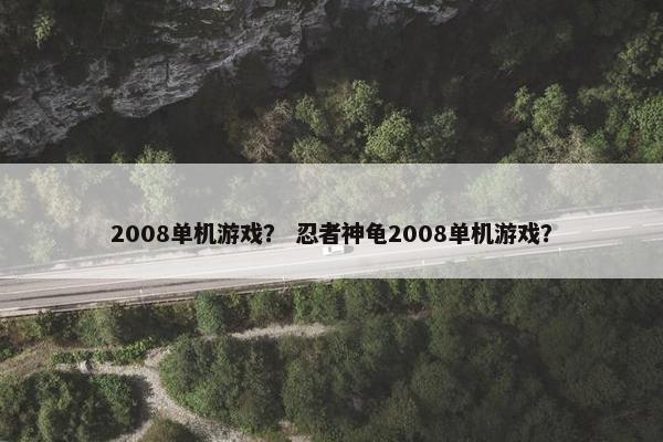 2008单机游戏？ 忍者神龟2008单机游戏？