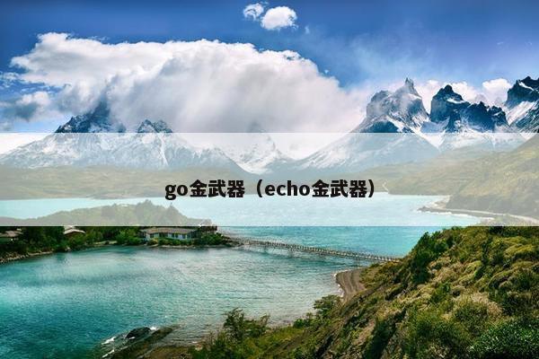 go金武器（echo金武器）