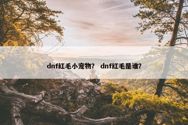 dnf红毛小宠物？ dnf红毛是谁？