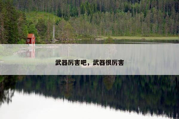 武器厉害吧，武器很厉害