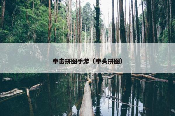 拳击拼图手游（拳头拼图）