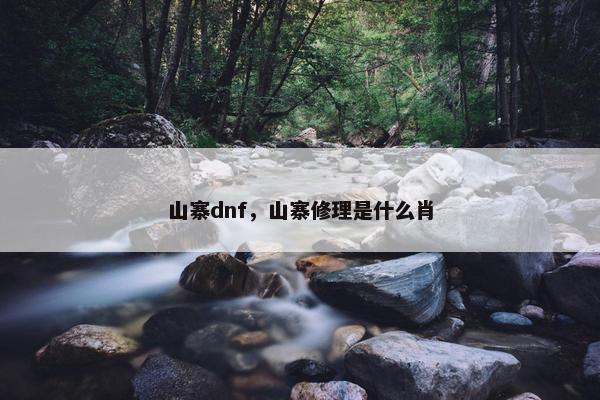 山寨dnf，山寨修理是什么肖