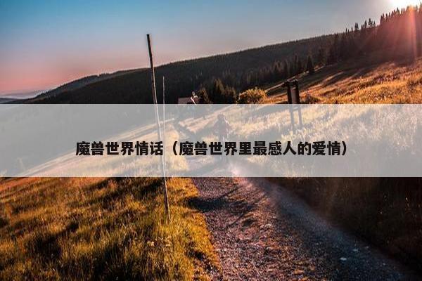 魔兽世界情话（魔兽世界里最感人的爱情）