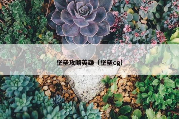 堡垒攻略英雄（堡垒cg）