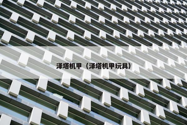泽塔机甲（泽塔机甲玩具）