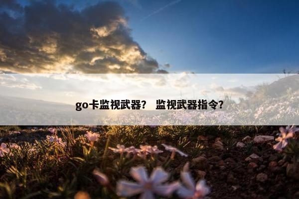 go卡监视武器？ 监视武器指令？