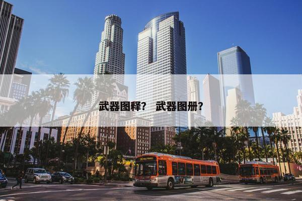 武器图释？ 武器图册？