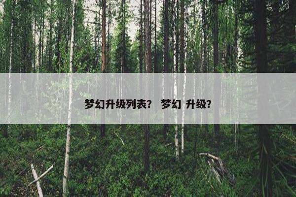 梦幻升级列表？ 梦幻 升级？