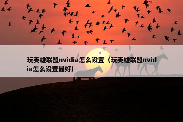 玩英雄联盟nvidia怎么设置（玩英雄联盟nvidia怎么设置最好）