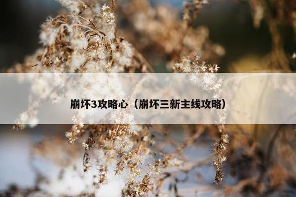 崩坏3攻略心（崩坏三新主线攻略）