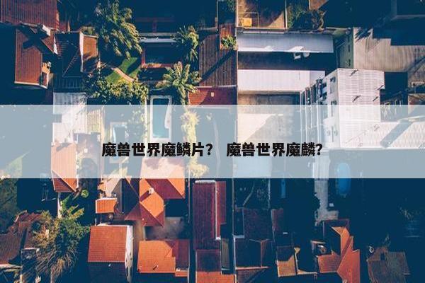 魔兽世界魔鳞片？ 魔兽世界魔麟？