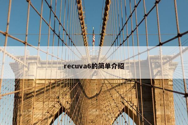 recuva6的简单介绍