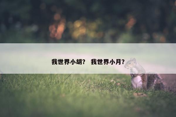 我世界小胡？ 我世界小月？