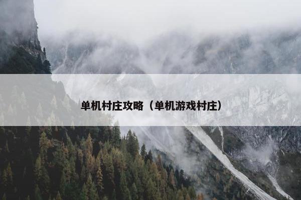 单机村庄攻略（单机游戏村庄）