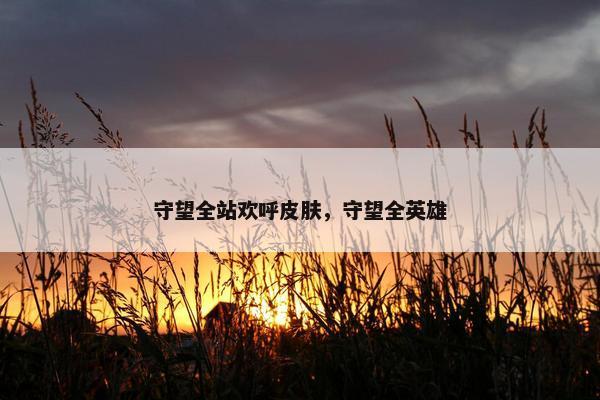 守望全站欢呼皮肤，守望全英雄