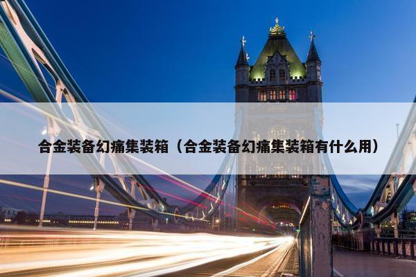 合金装备幻痛集装箱（合金装备幻痛集装箱有什么用）
