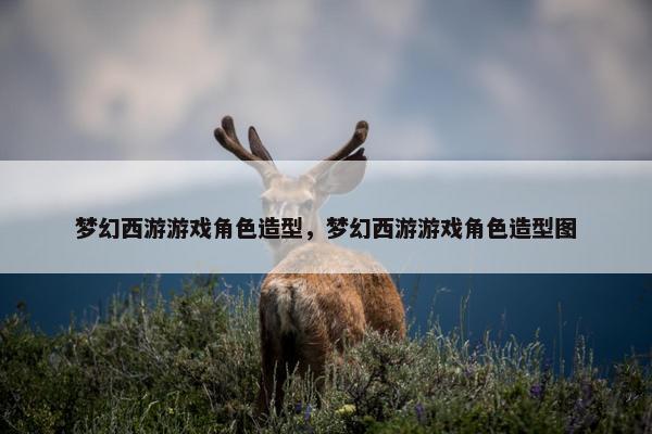 梦幻西游游戏角色造型，梦幻西游游戏角色造型图