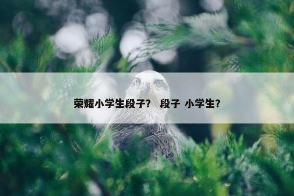 荣耀小学生段子？ 段子 小学生？