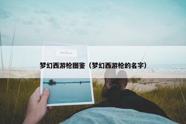 梦幻西游枪图鉴（梦幻西游枪的名字）