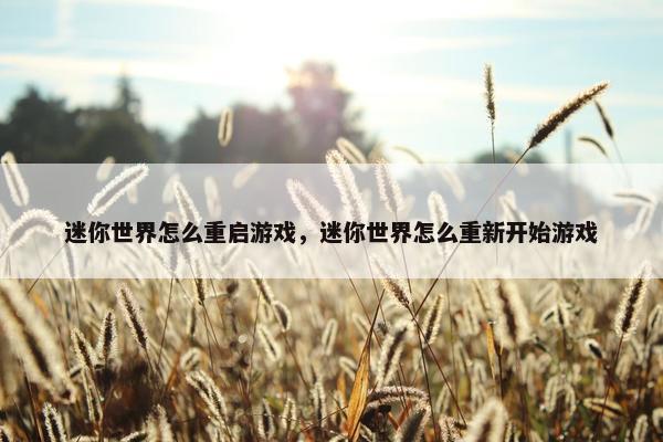 迷你世界怎么重启游戏，迷你世界怎么重新开始游戏